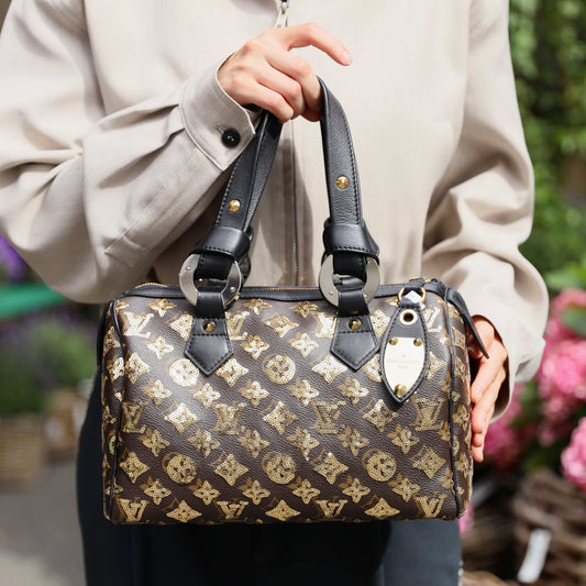 Louis Vuitton Limited Edition Gold Monogram Eclipse Speedy 28